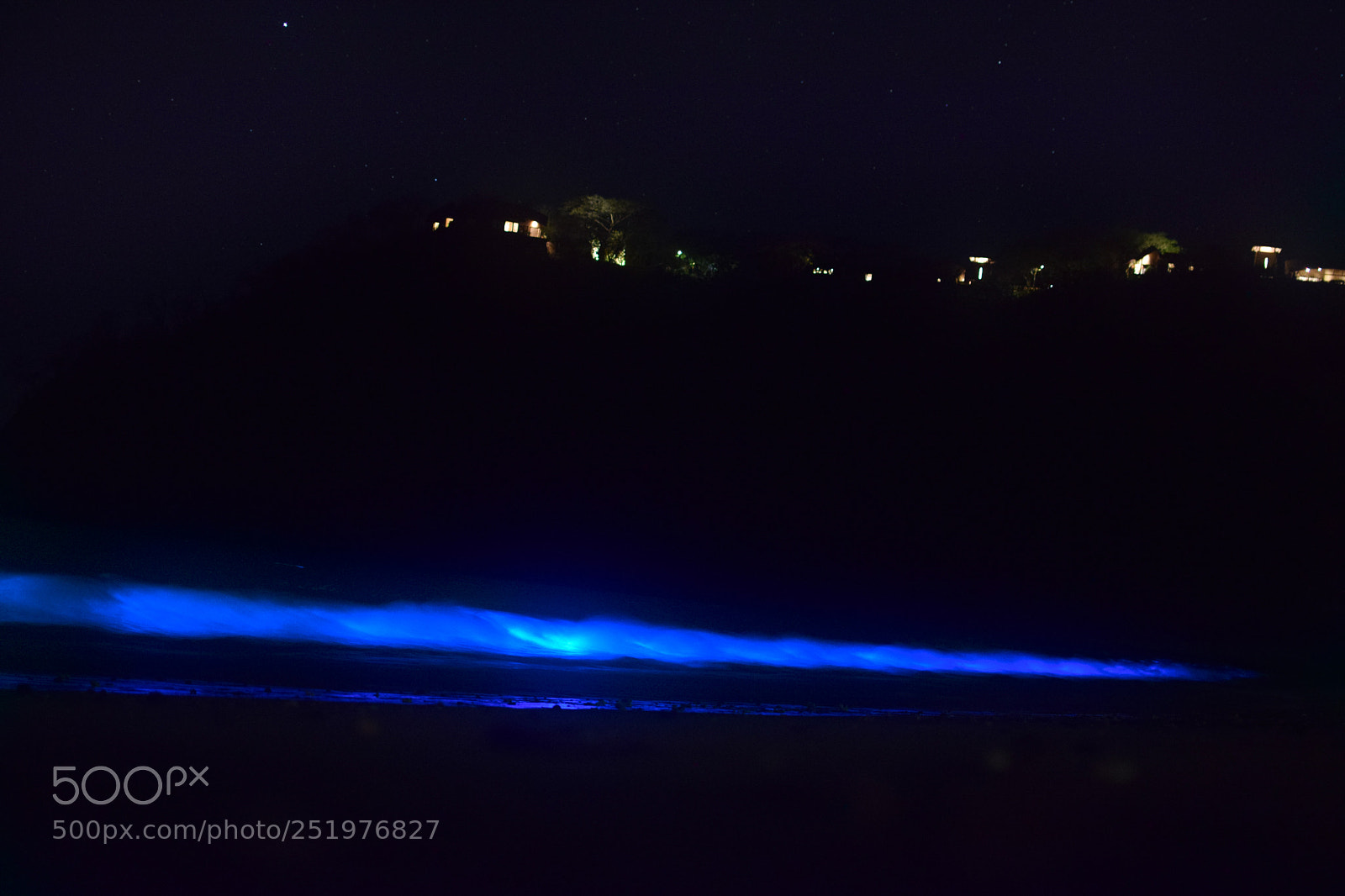 Nikon D5300 sample photo. Bioluminescent photography