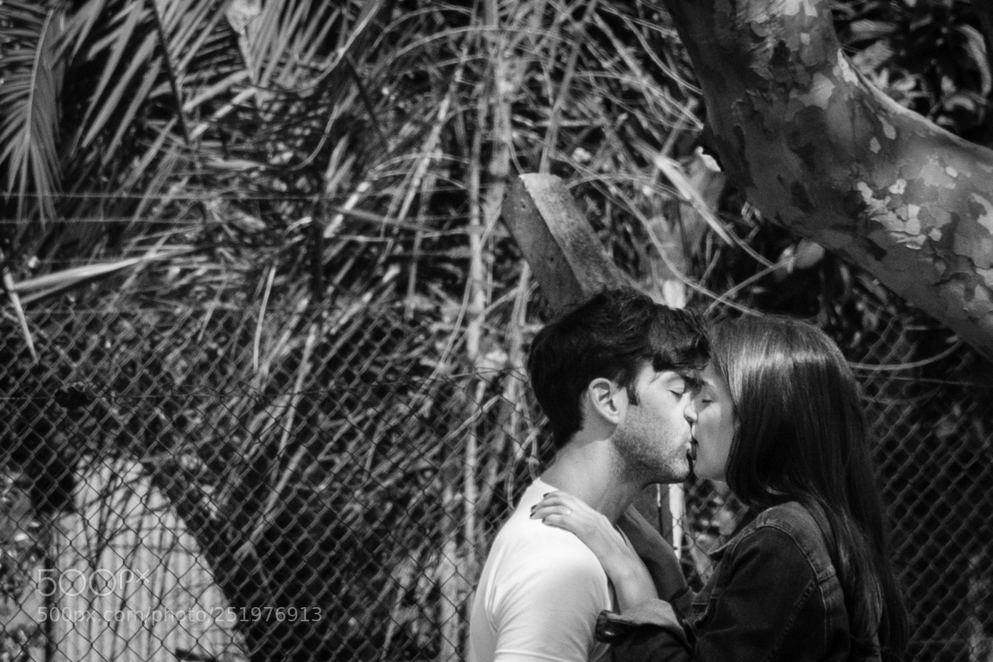 Nikon D7500 sample photo. The kiss photo stolen photography