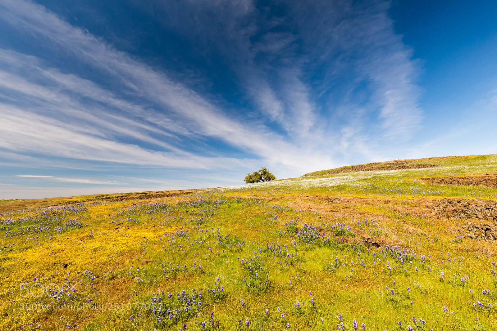 Canon EOS 5D Mark IV sample photo. Table mountain colors photography