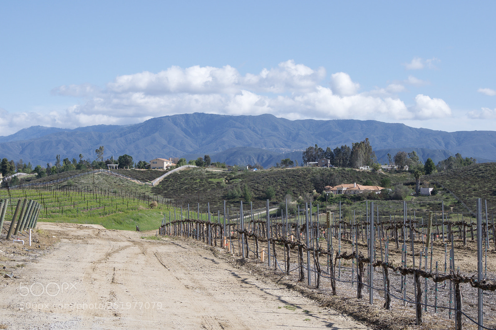 Nikon D3300 sample photo. Wine country photography