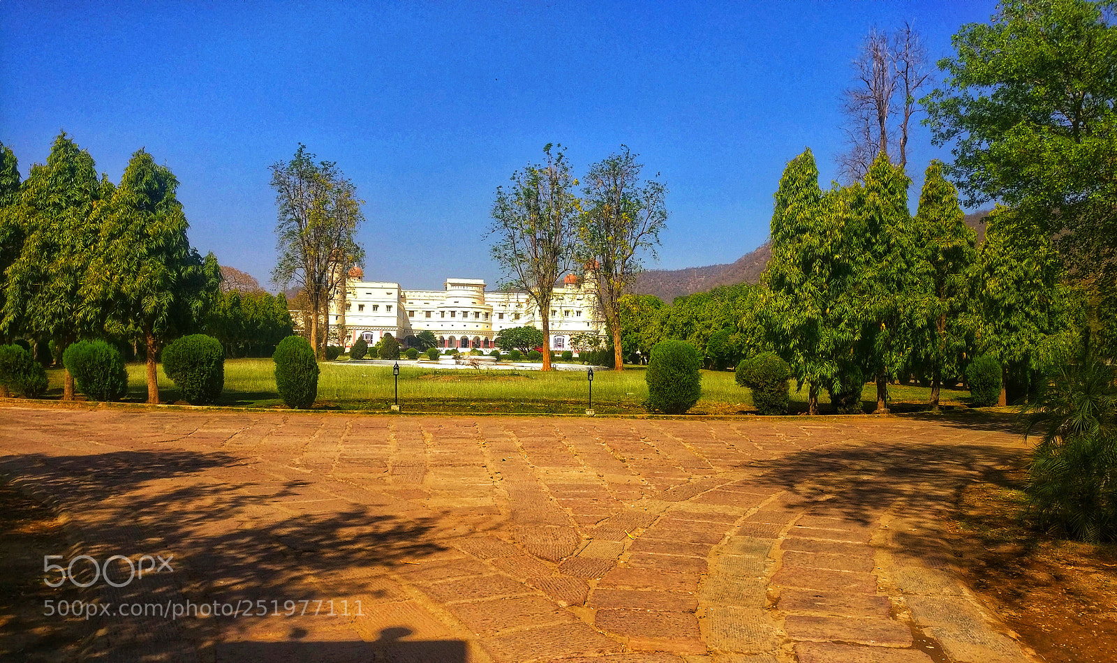OnePlus A3003 sample photo. Sariska palace photography