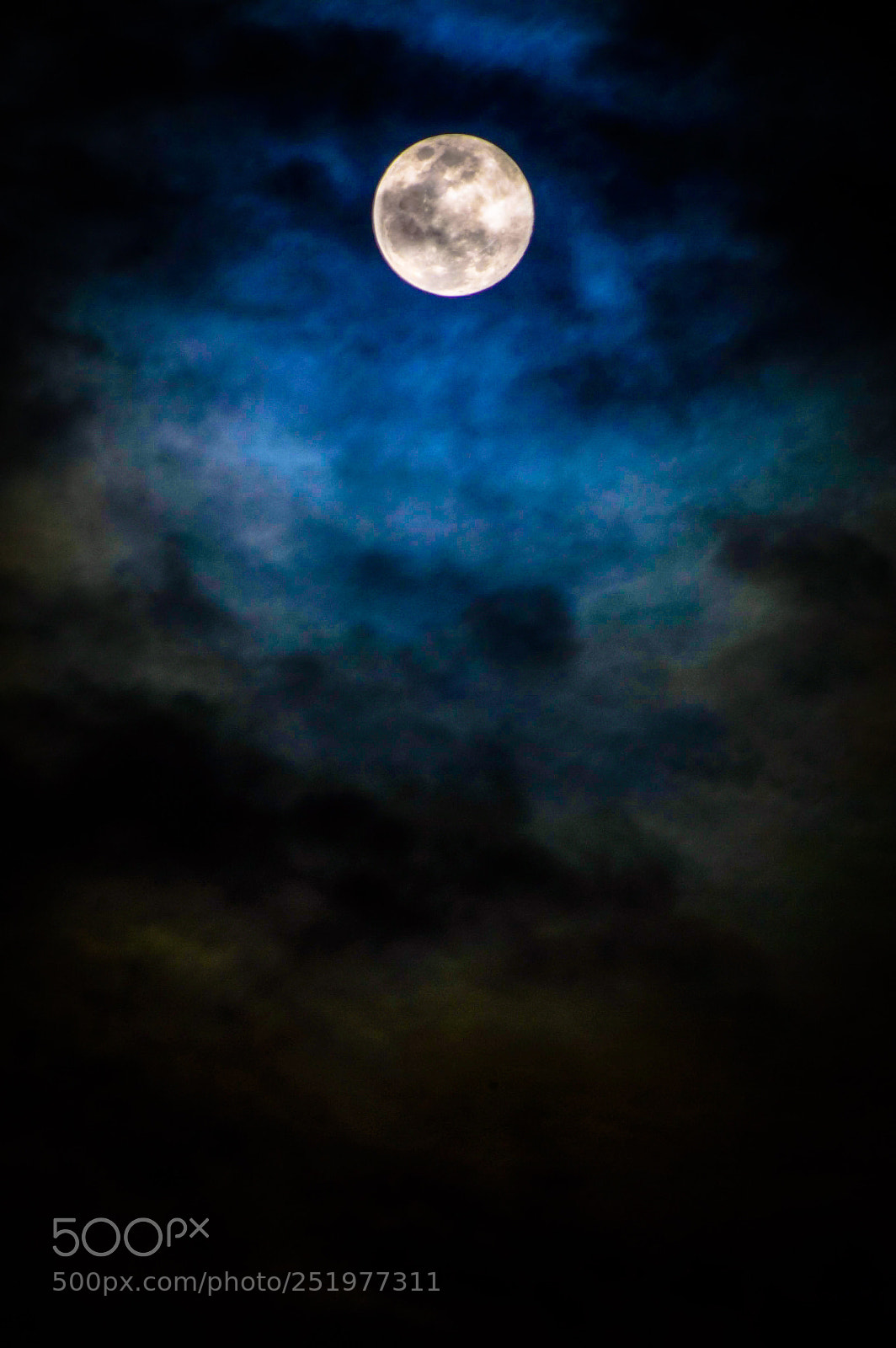 Nikon D3200 sample photo. Luna  photography