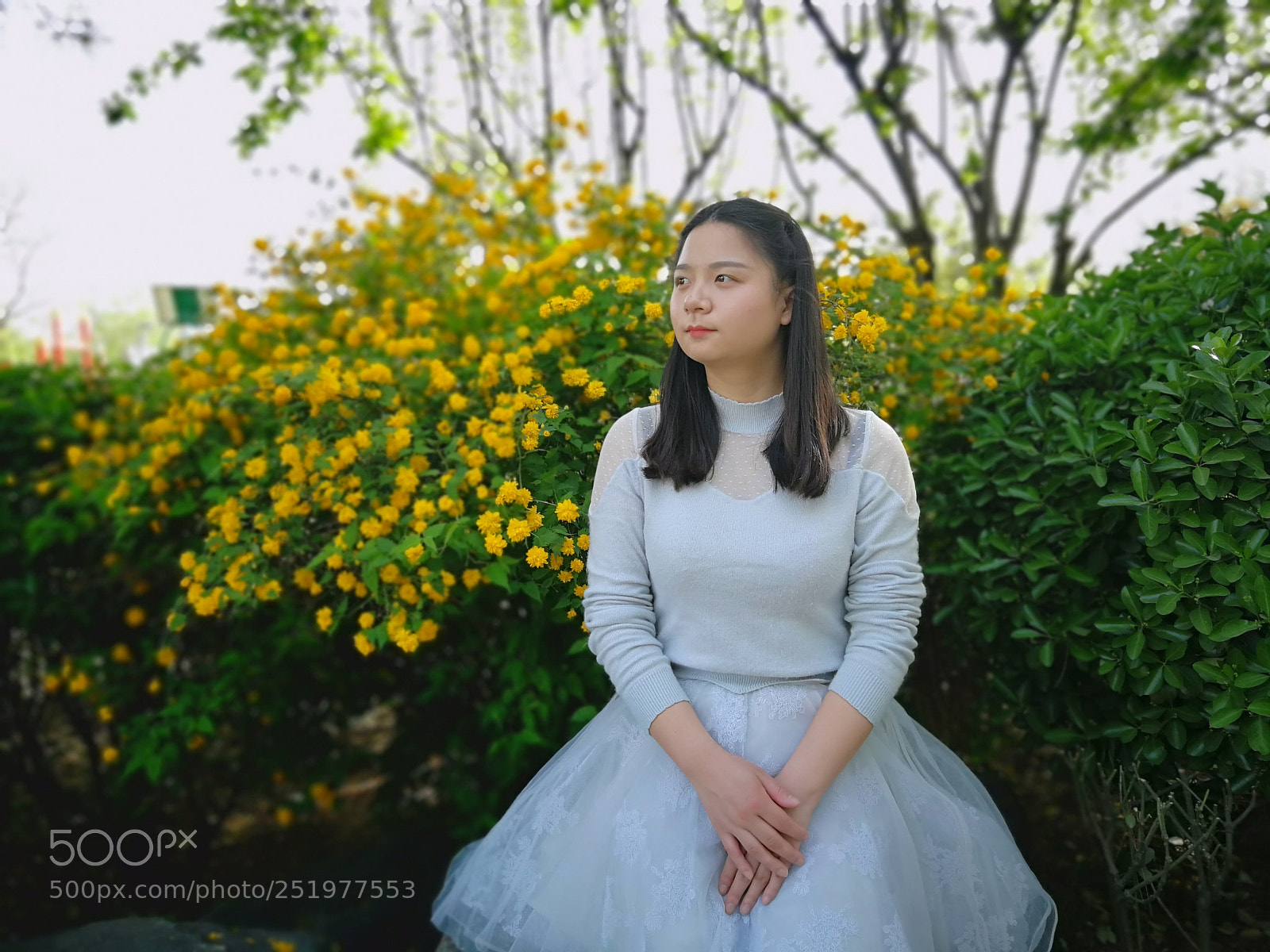 HUAWEI P10 sample photo. Girl and flowers photography