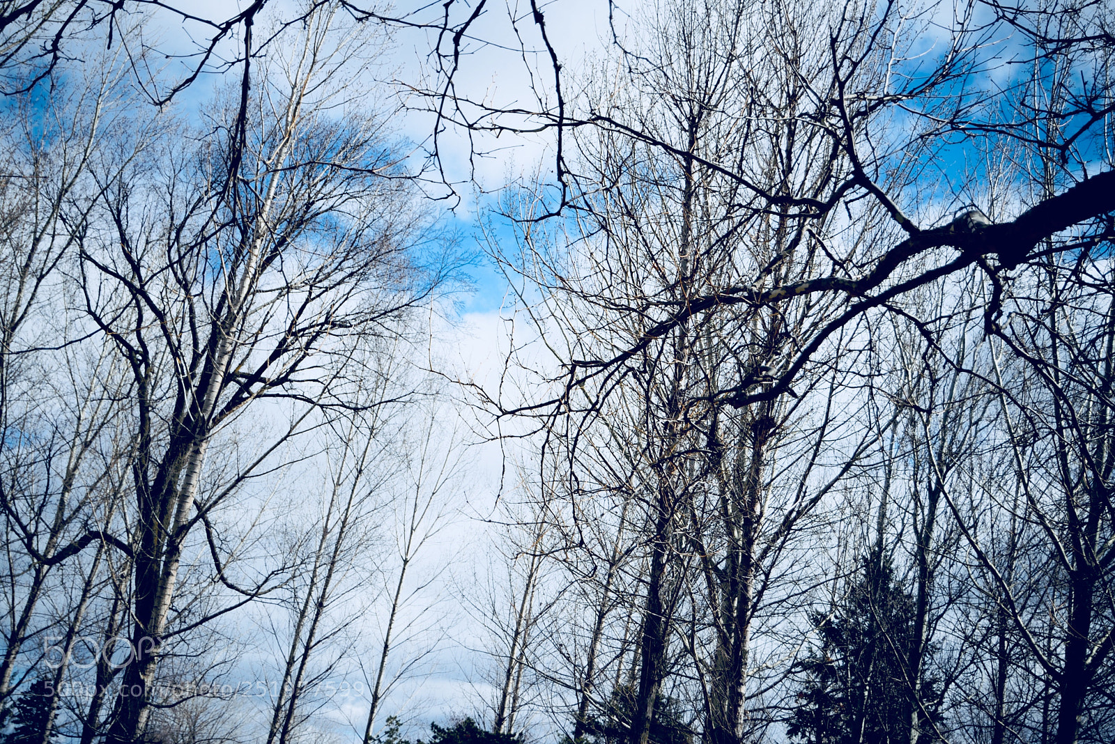 Nikon D600 sample photo. Untitled photography