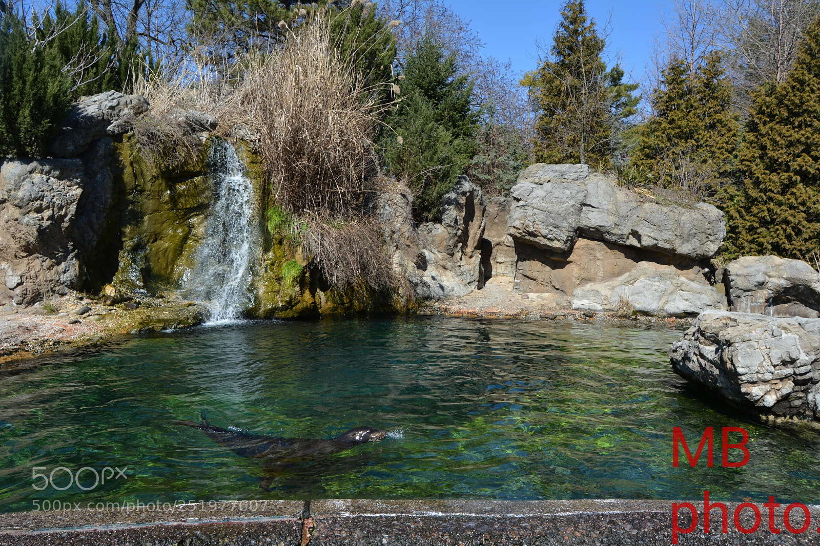 Nikon D5200 sample photo. Untitled photography