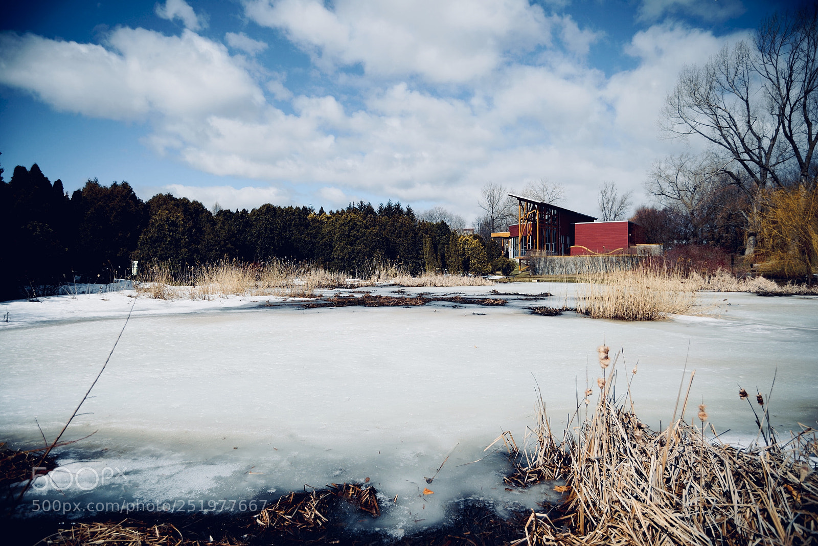 Nikon D600 sample photo. Untitled photography