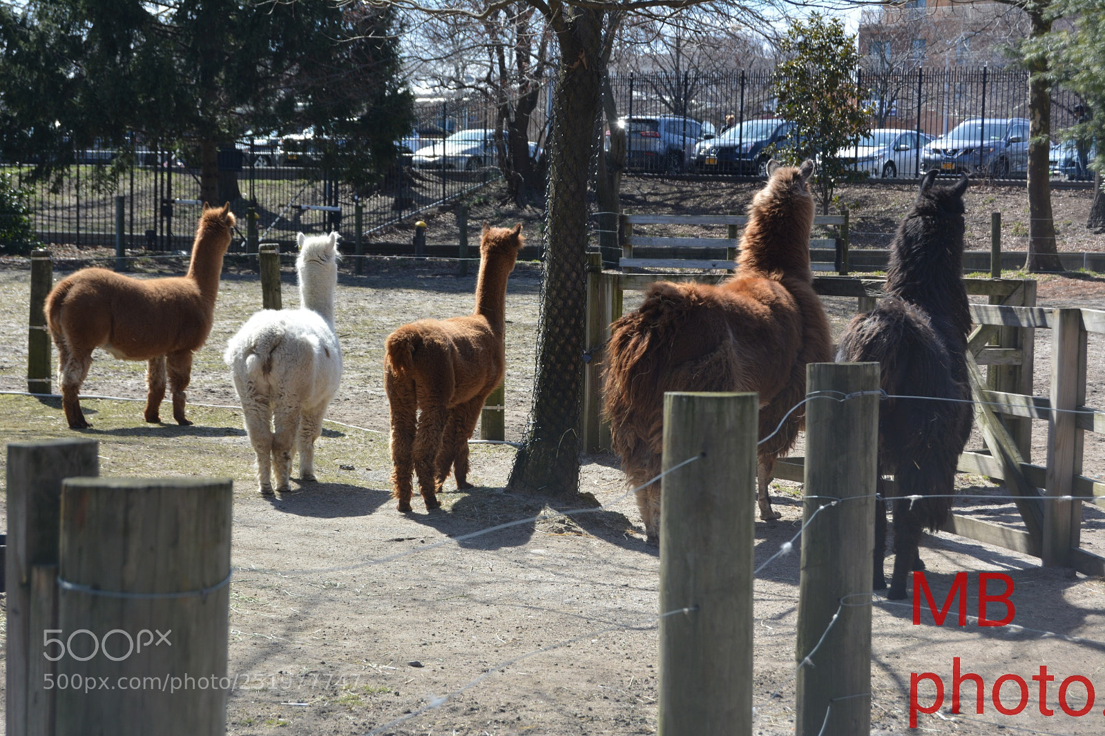 Nikon D5200 sample photo. Untitled photography