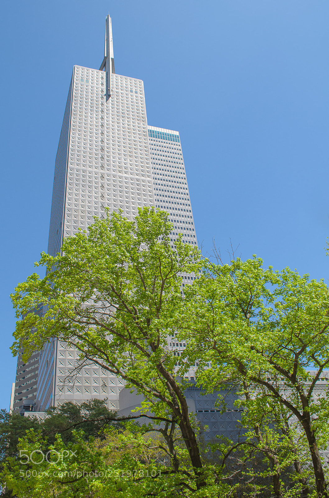 Nikon D5100 sample photo. Dallas 014 photography