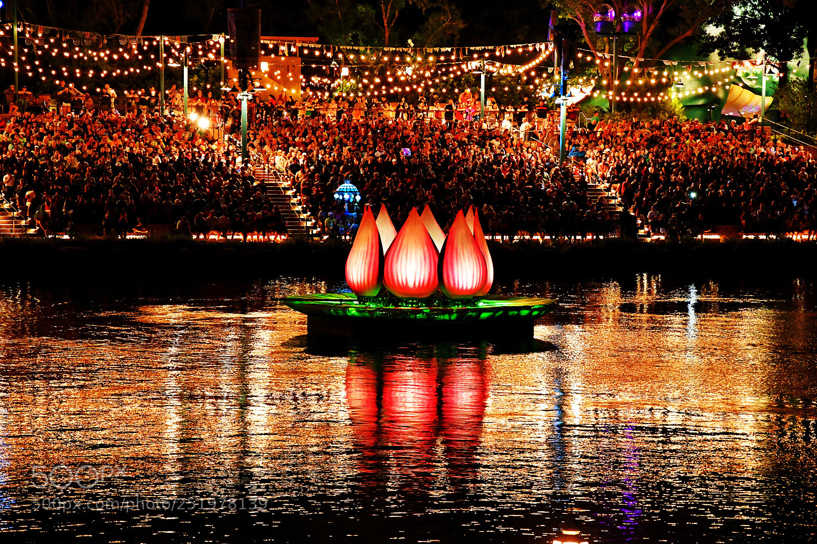 Nikon D7500 sample photo. Lotus flower. photography