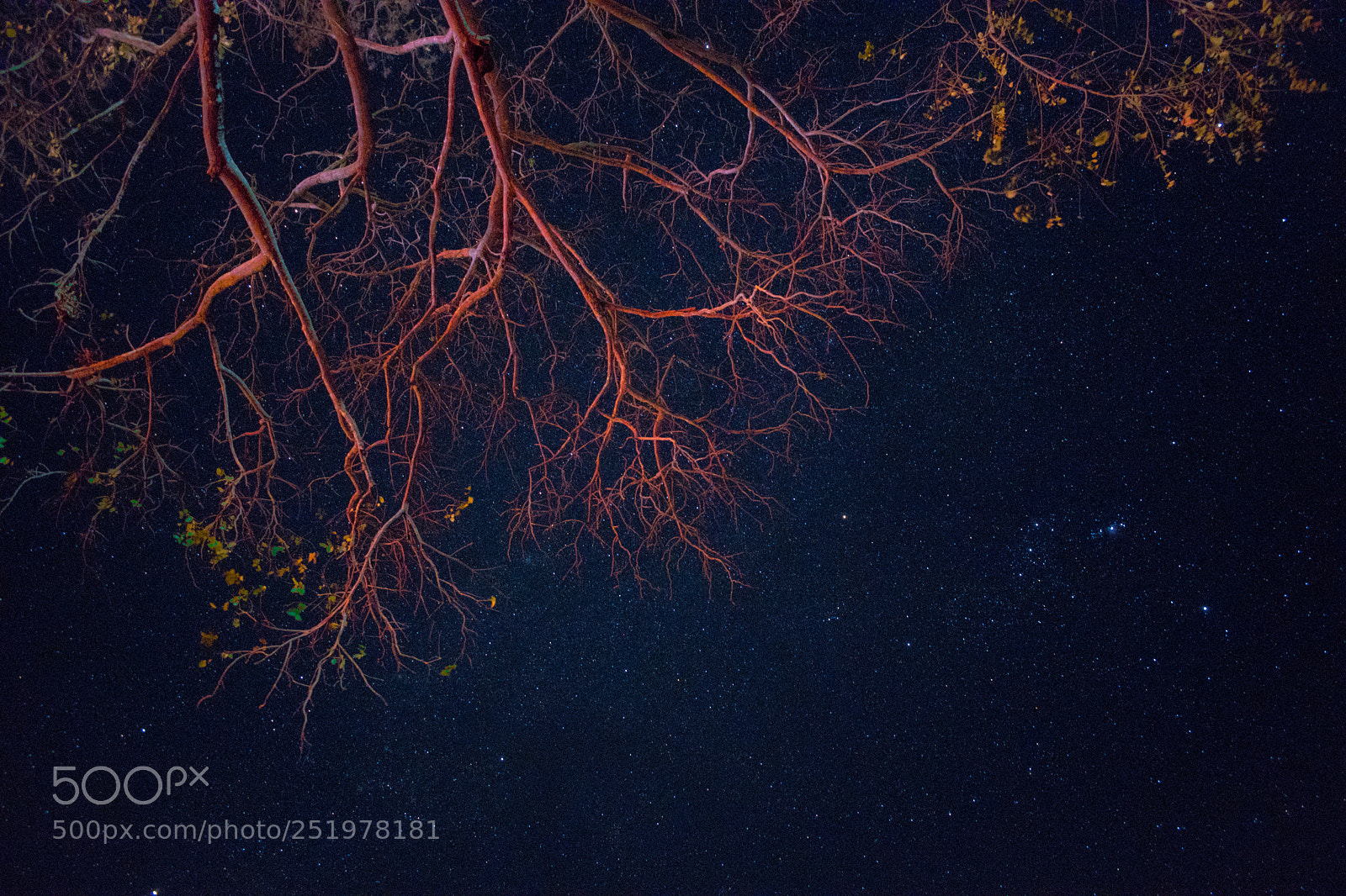 Nikon D5600 sample photo. Noche en paquera photography