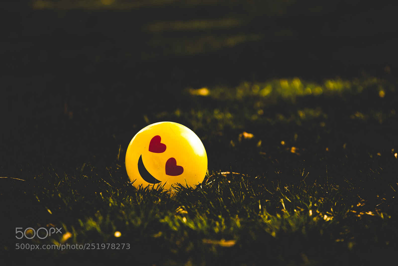 Nikon D810 sample photo. Happiness photography