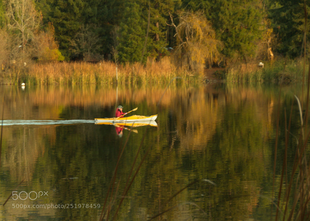 Canon EOS 70D sample photo. Canoeing photography