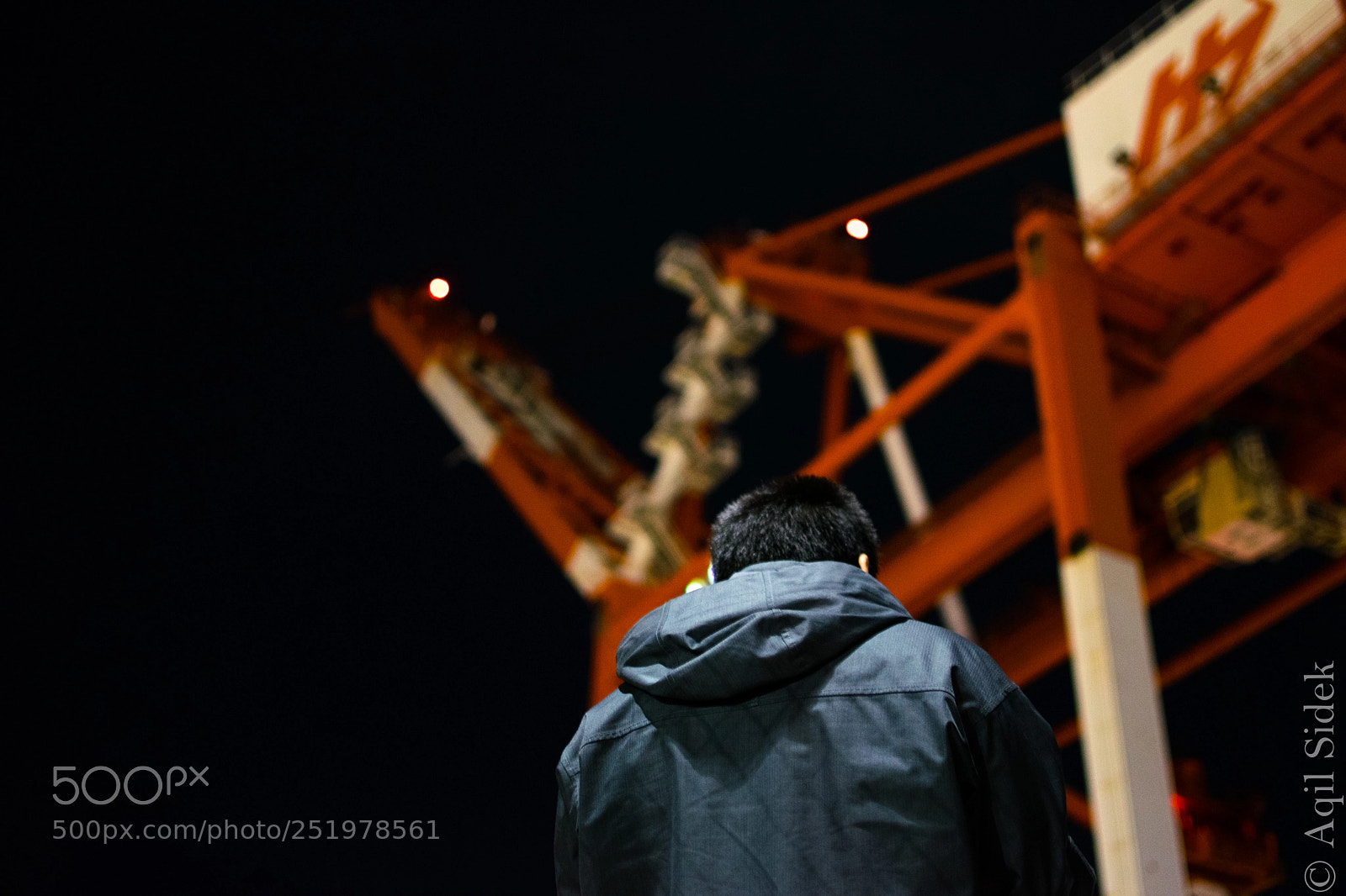 Nikon D5300 sample photo. Crane photography