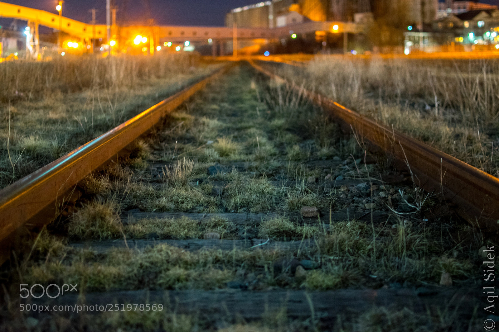 Nikon D5300 sample photo. End of the line photography