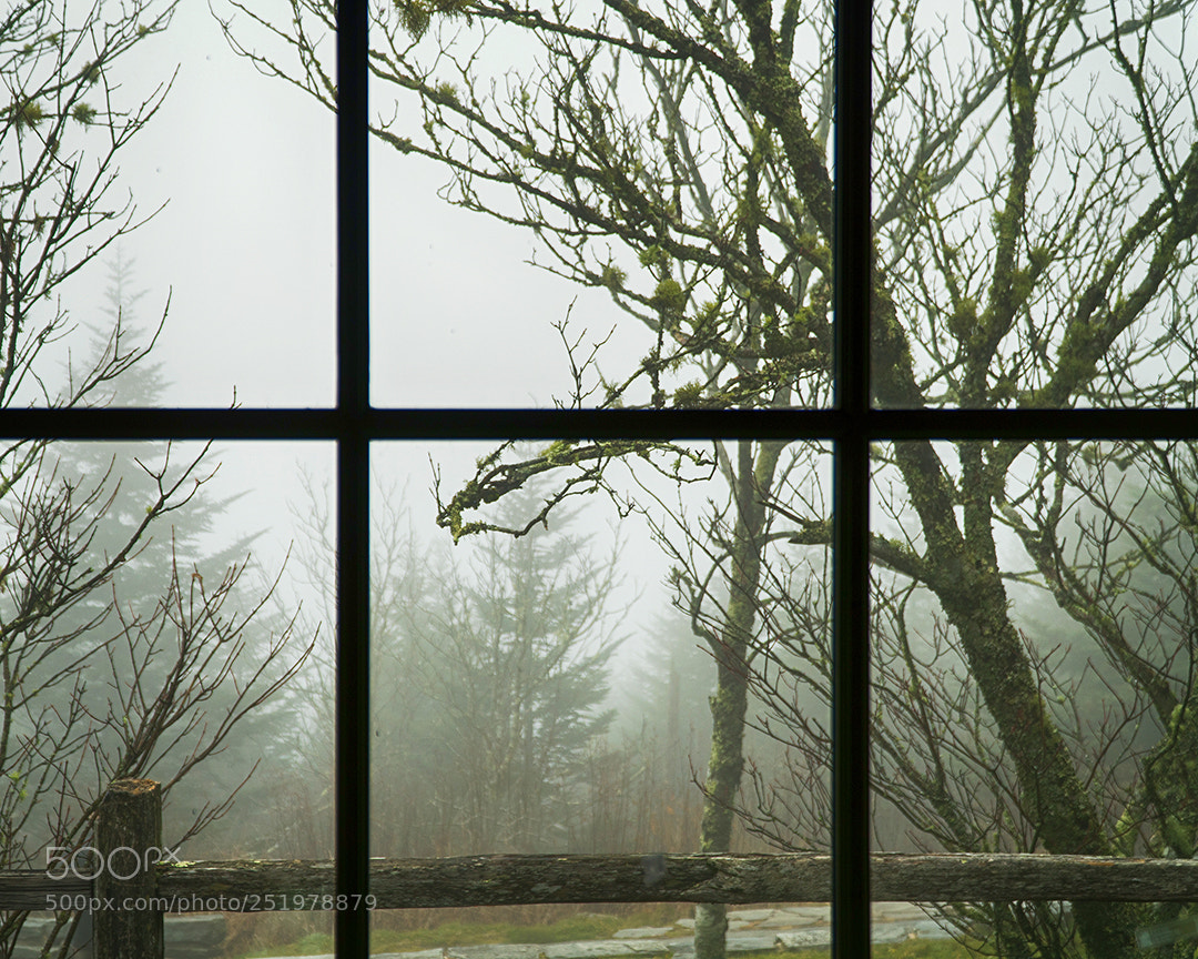 Sony a6300 sample photo. Misty day photography