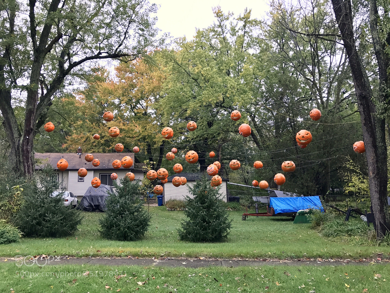 Apple iPhone 7 sample photo. Untitled photography