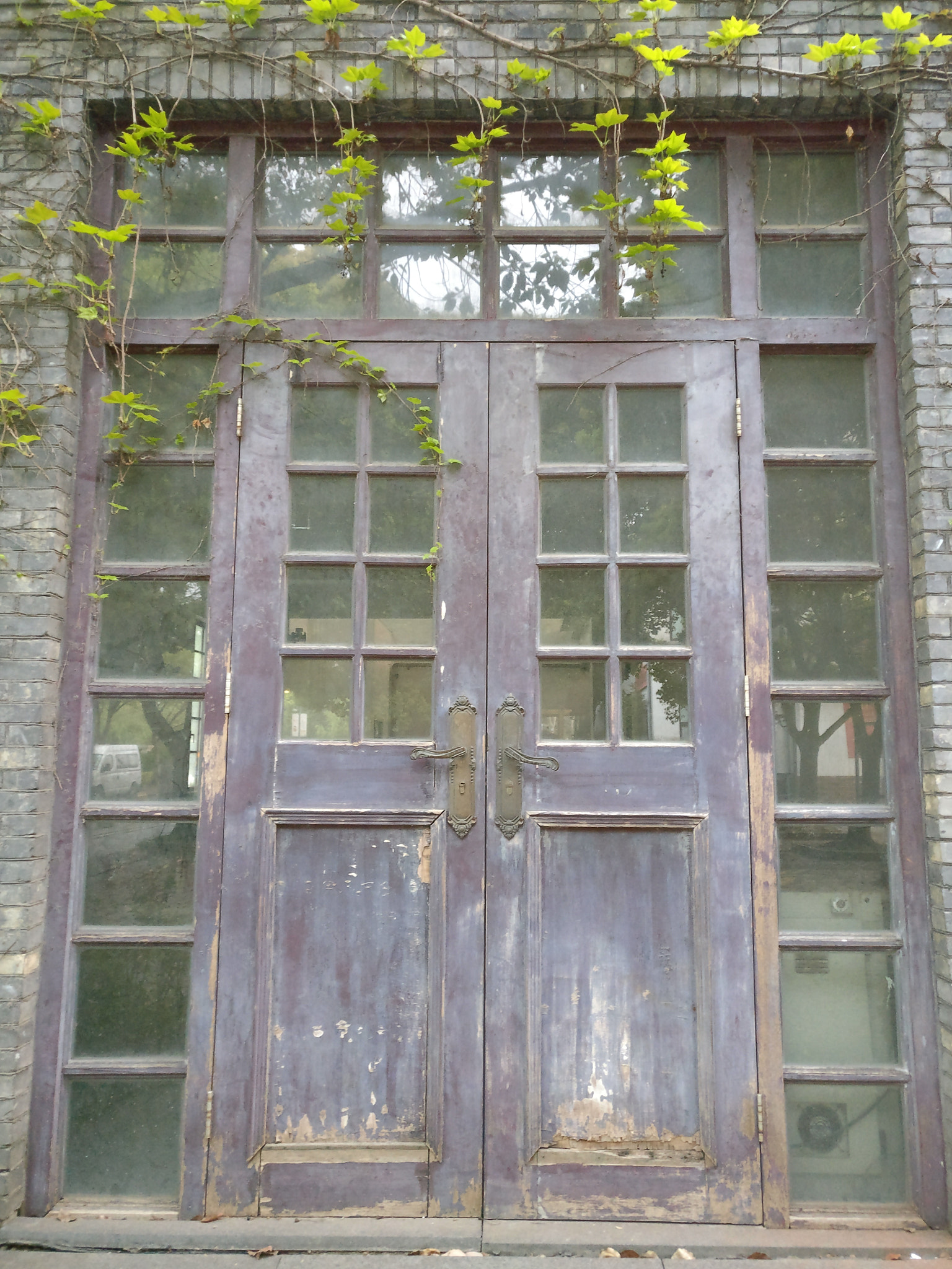 OnePlus A3010 sample photo