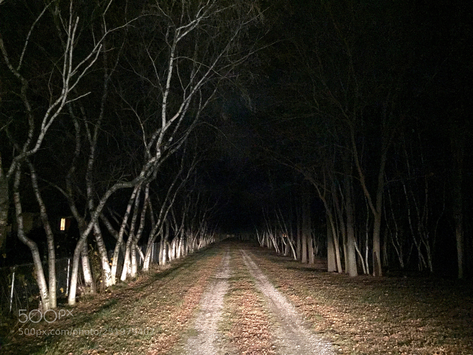 Apple iPhone 6 sample photo. Night photography