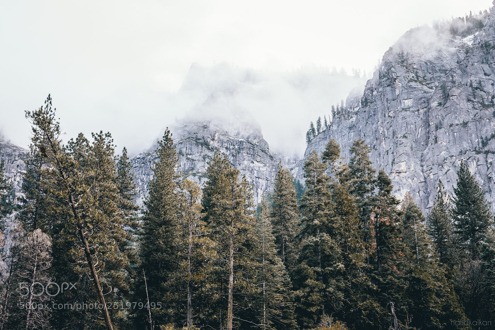 Canon EOS 5D Mark IV sample photo. Misty morning of a photography