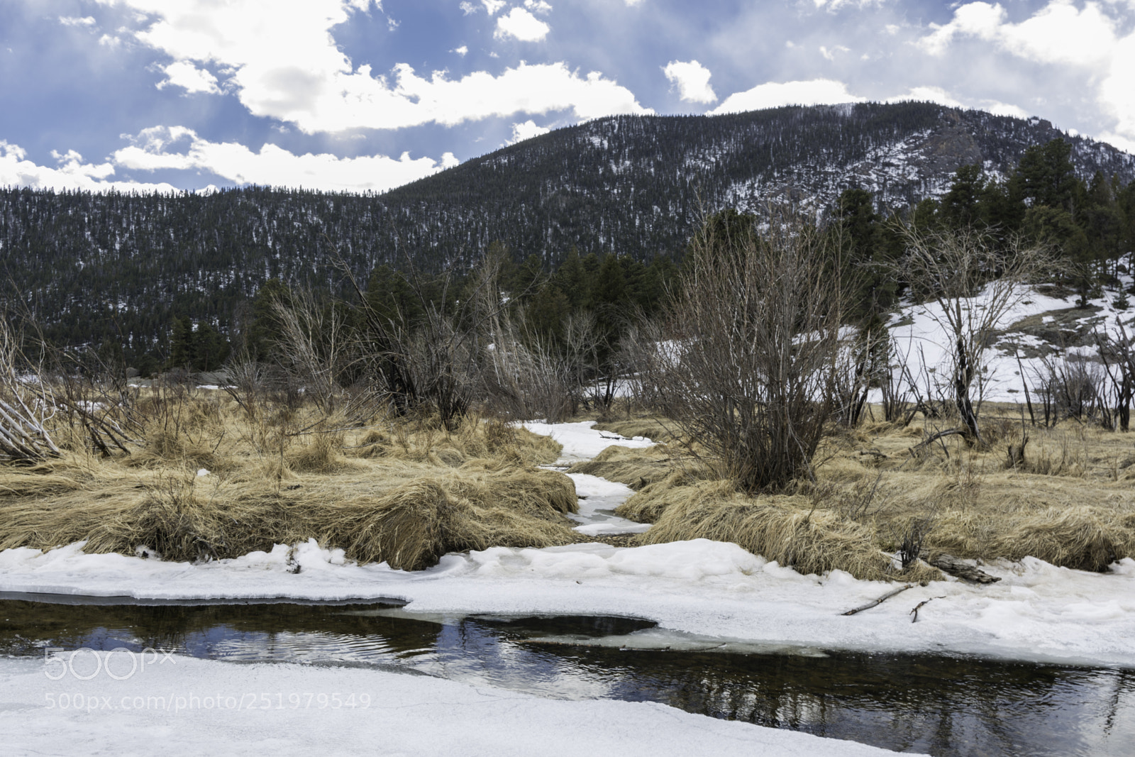 Nikon D7100 sample photo. Snow on the grass photography