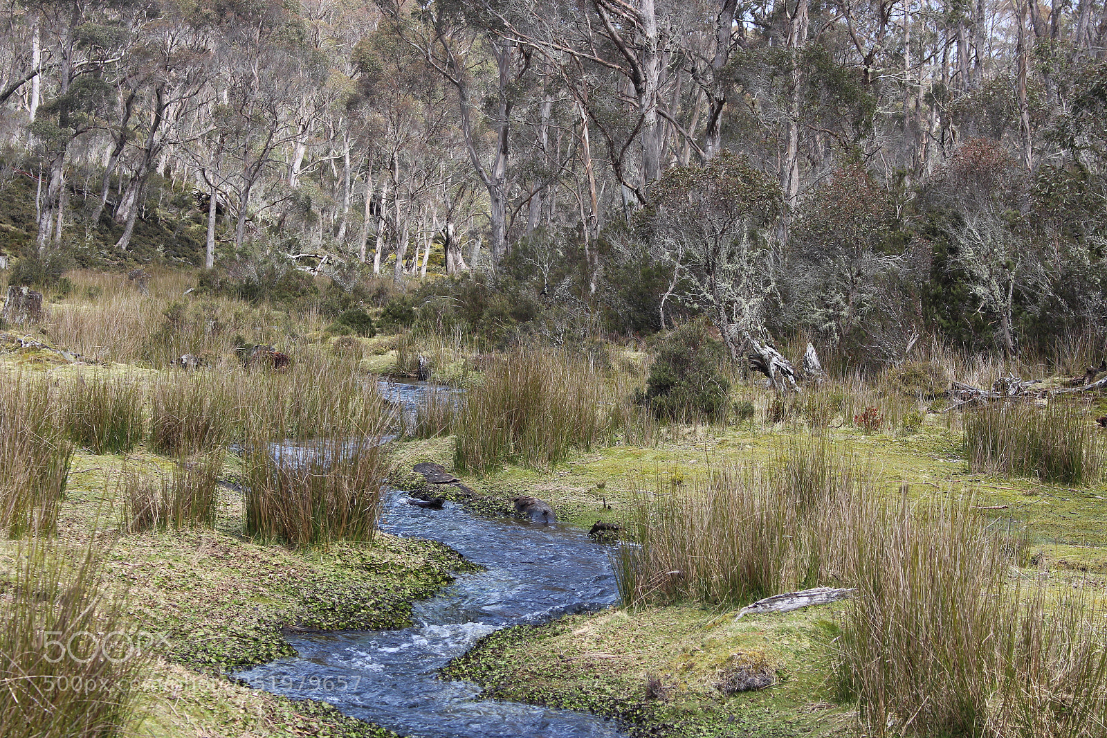 Canon EOS 700D (EOS Rebel T5i / EOS Kiss X7i) sample photo. Cradle mountain photography