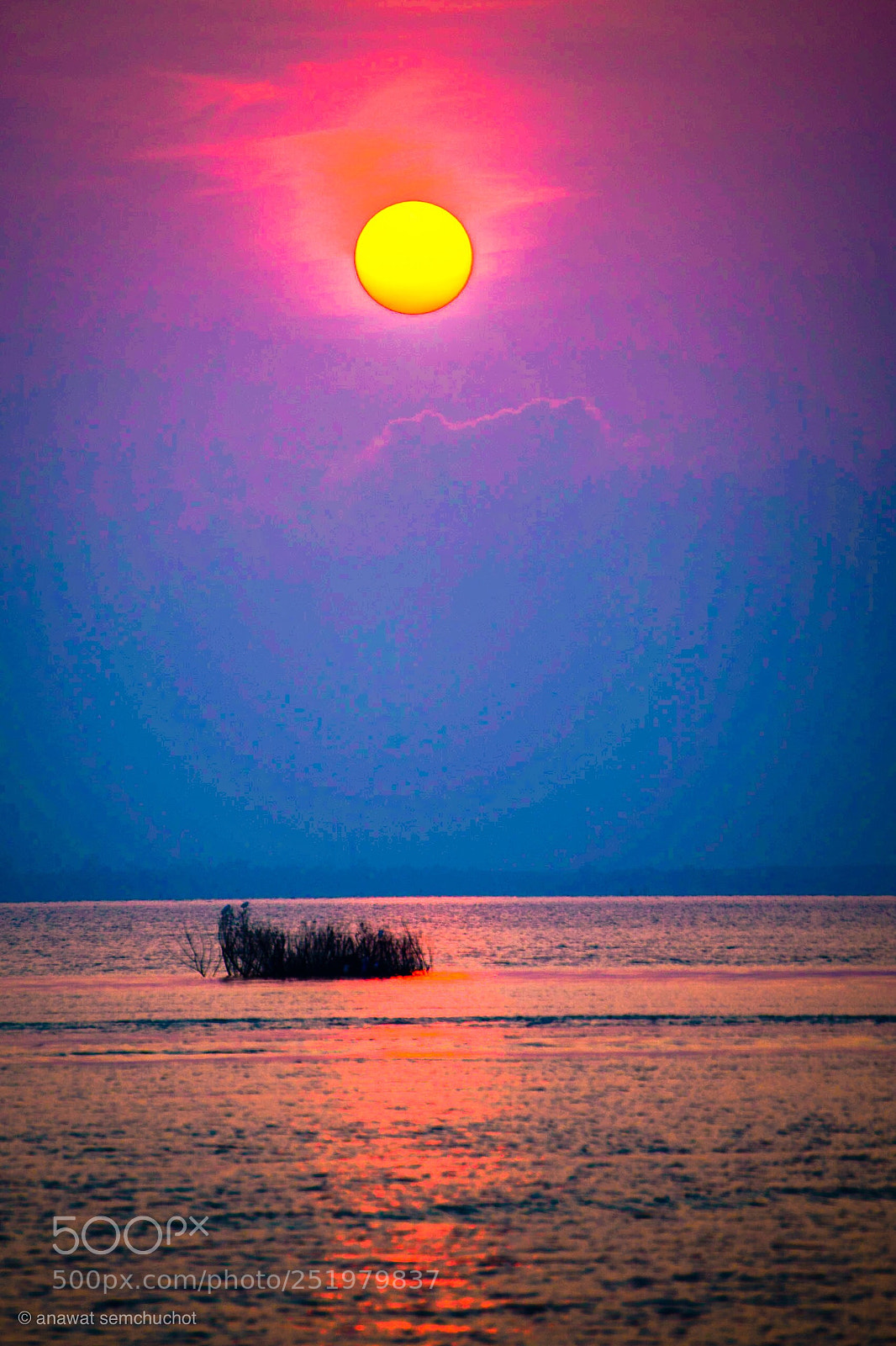Nikon D800 sample photo. Untitled photography