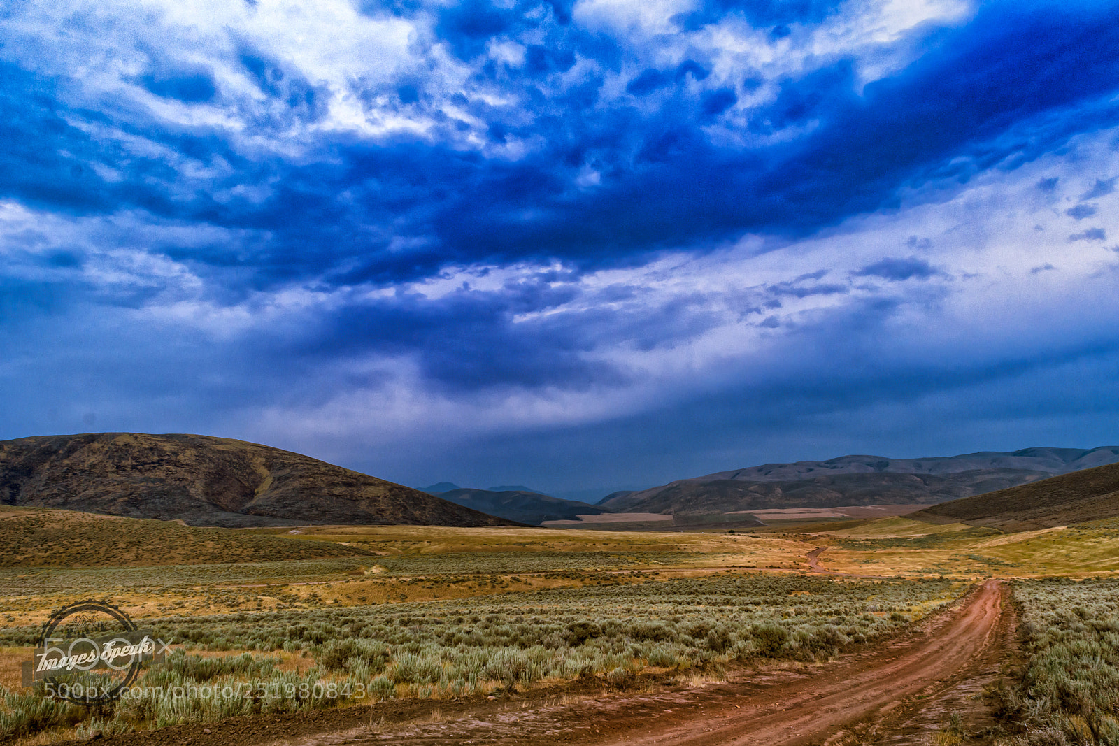 Nikon D7200 sample photo. Blue sky over whites photography