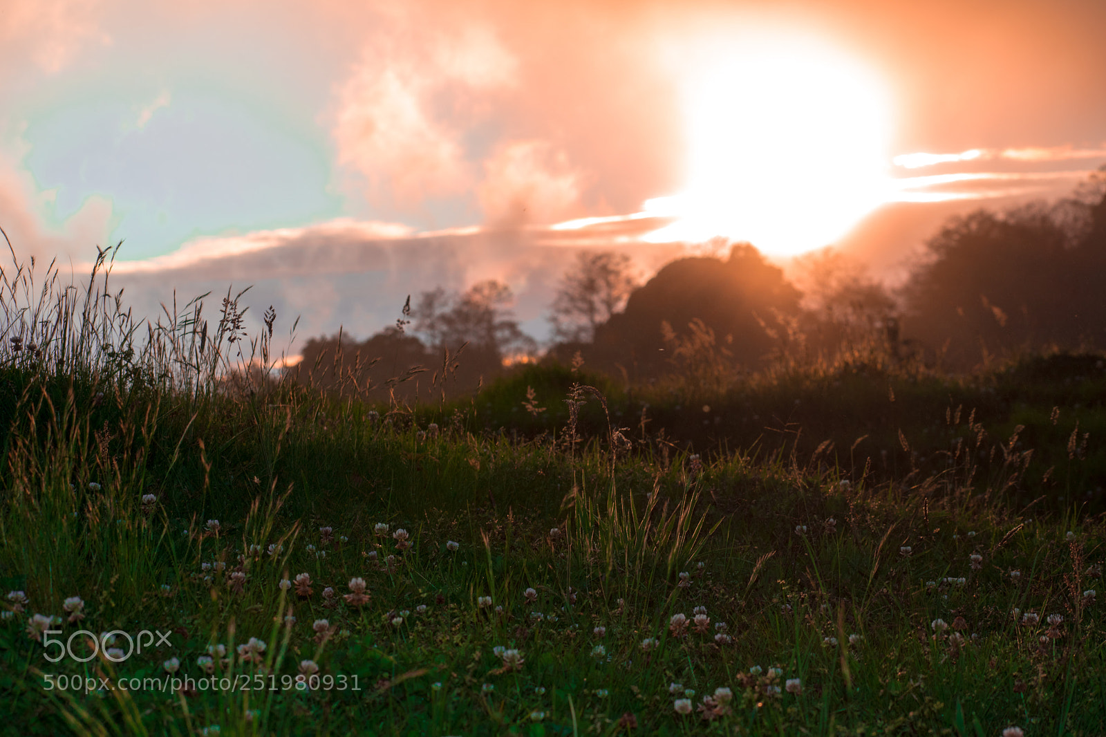 Nikon D5600 sample photo. "hobbit place" photography