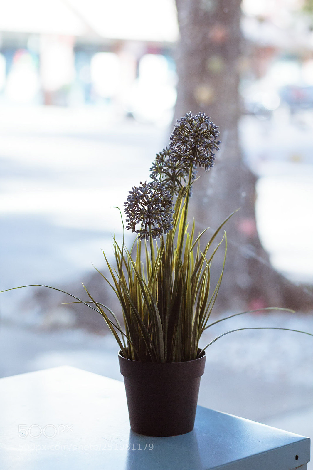 Canon EOS 600D (Rebel EOS T3i / EOS Kiss X5) sample photo. Waiting photography