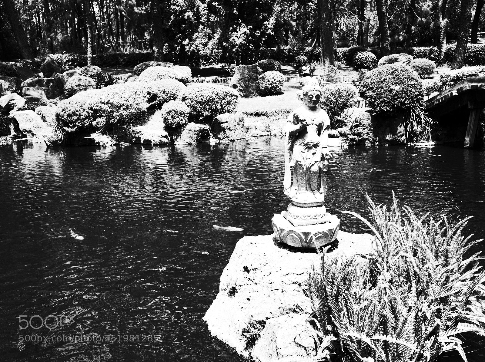 Ricoh GR sample photo. Zen photography