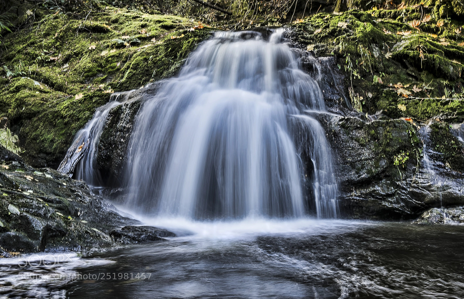Sony a7R sample photo. Christie falls photography