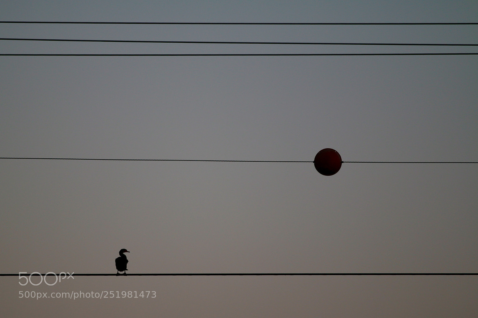 Canon EOS 70D sample photo. Untitled photography
