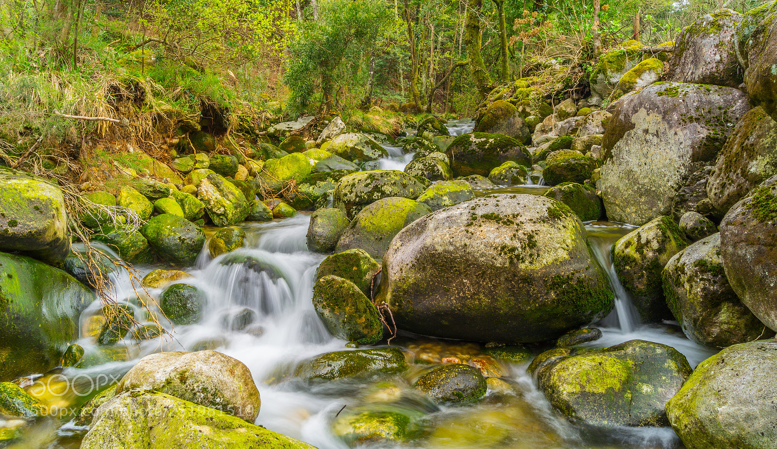 Sony SLT-A58 sample photo. Spring comes to rio photography