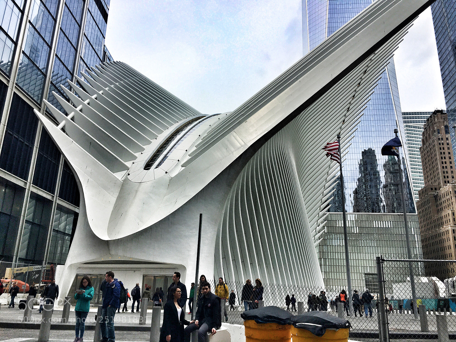 Apple iPhone 6s sample photo. Oculus  photography