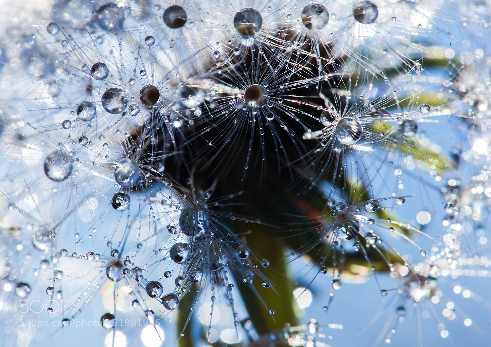 Canon EOS 5D Mark II sample photo. Glitter in the morning photography