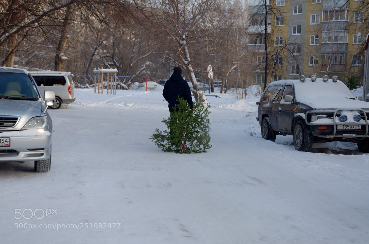 Nikon D7000 sample photo. Прощание с ёлкой photography