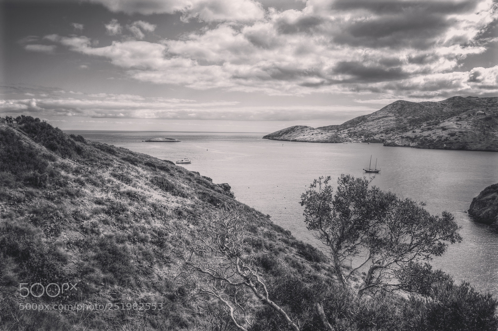 Fujifilm X100F sample photo. Santa catalina island  photography