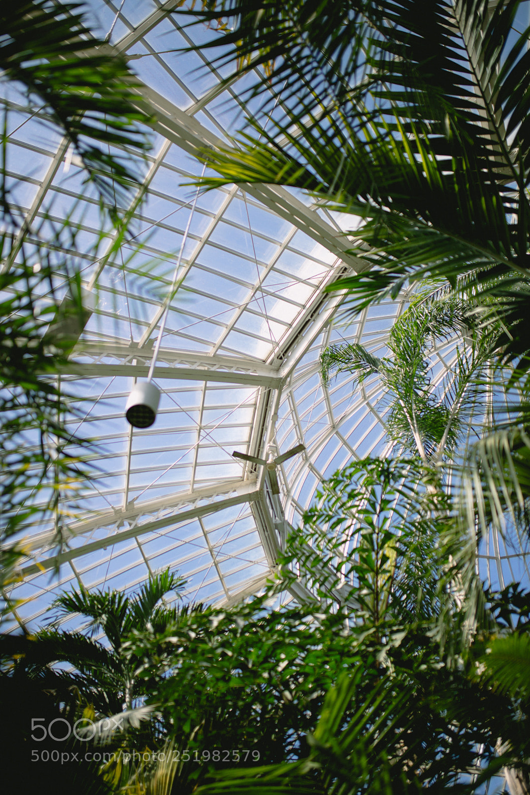 Canon EOS 6D Mark II sample photo. Conservatory photography