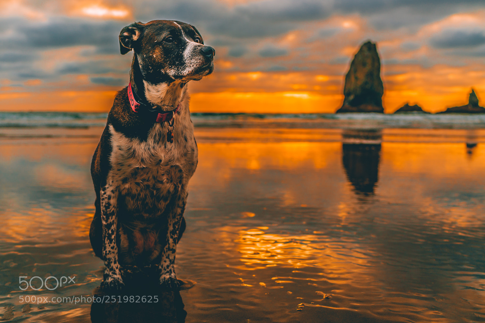 Sony a7R II sample photo. Hosakoo at the needles photography