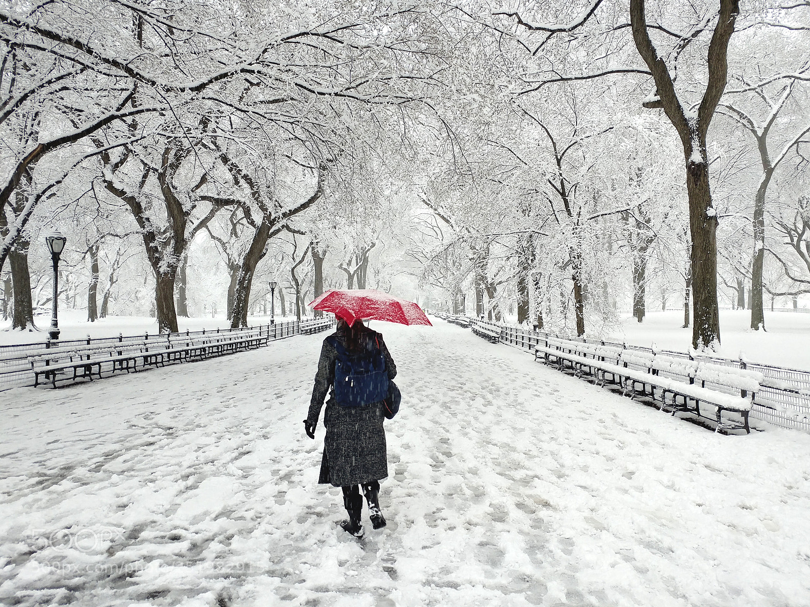 LG V20 sample photo. Central park in white photography