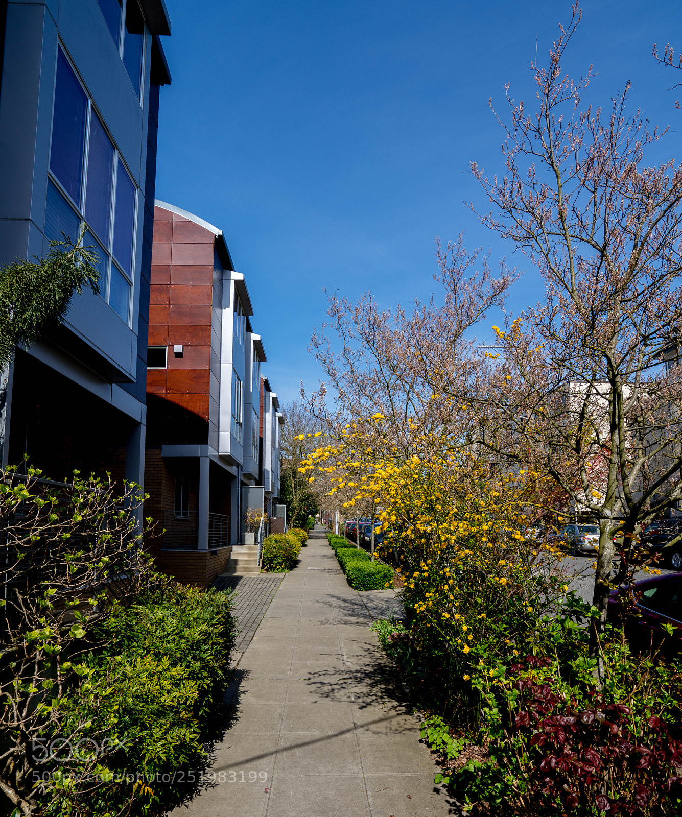 Sony a7R III sample photo. Plants on the street photography