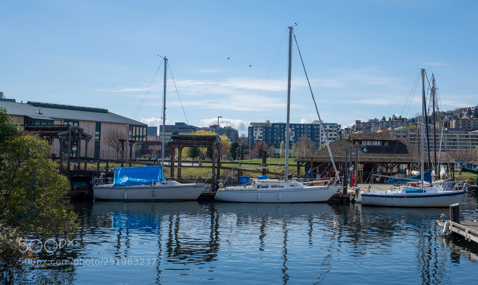 Sony a7R III sample photo. Sailboats 2 photography