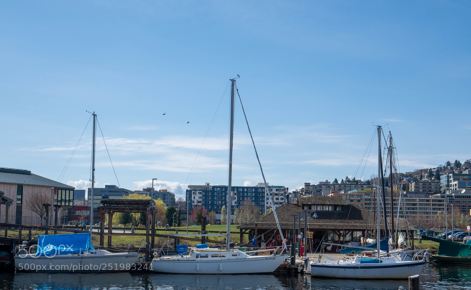 Sony a7R III sample photo. Sailboats photography