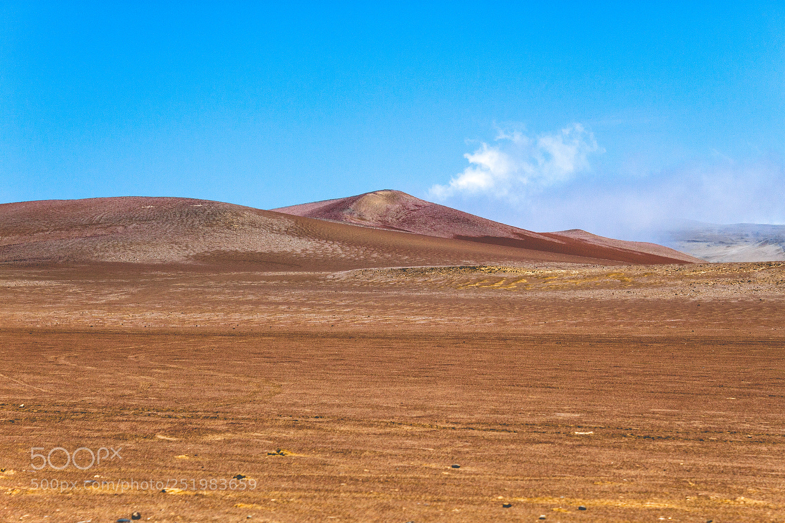 Canon EOS 500D (EOS Rebel T1i / EOS Kiss X3) sample photo. Reserva nacional de paracas photography