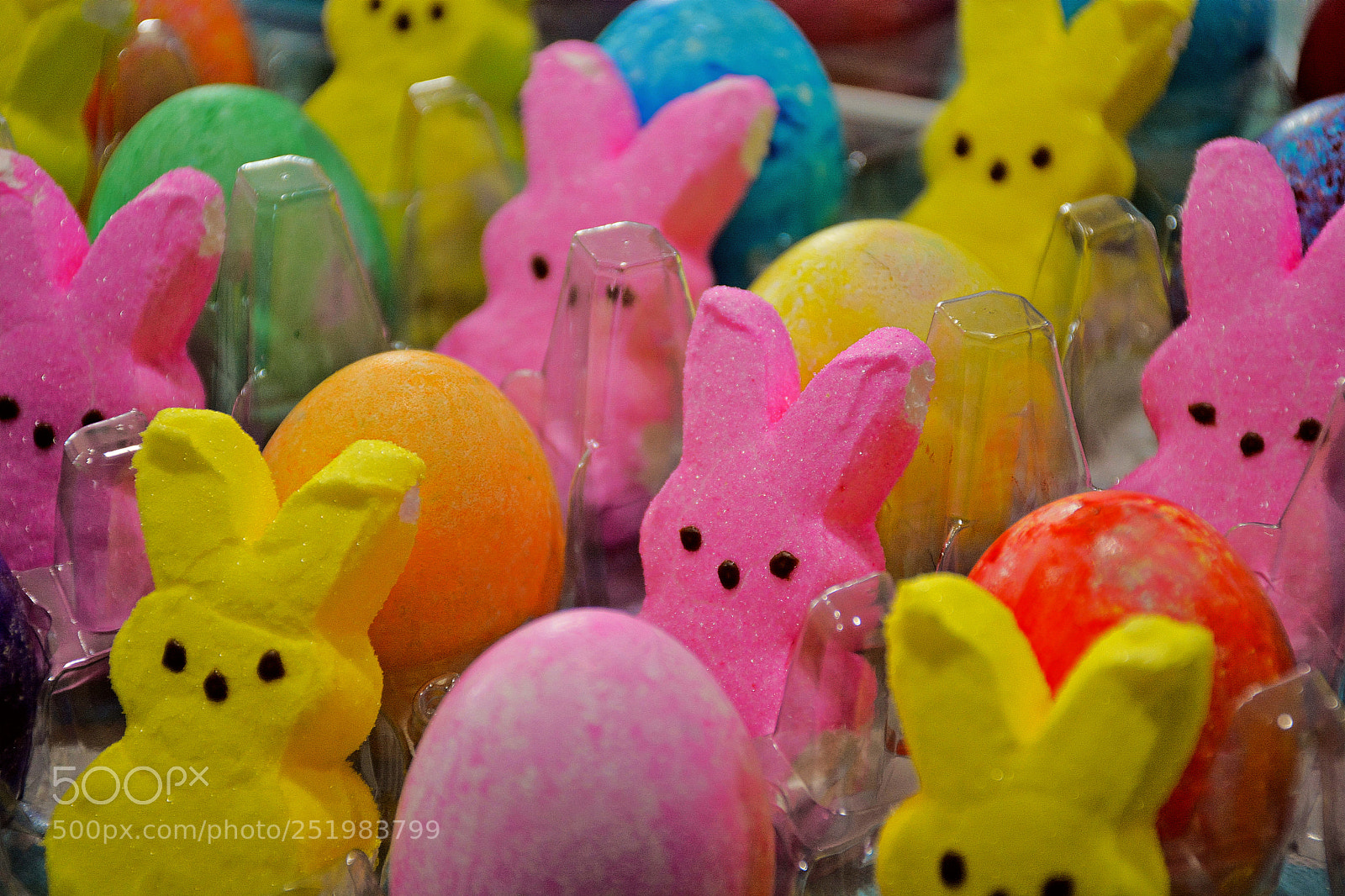 Nikon D7100 sample photo. Eggs and bunnies study 1 photography