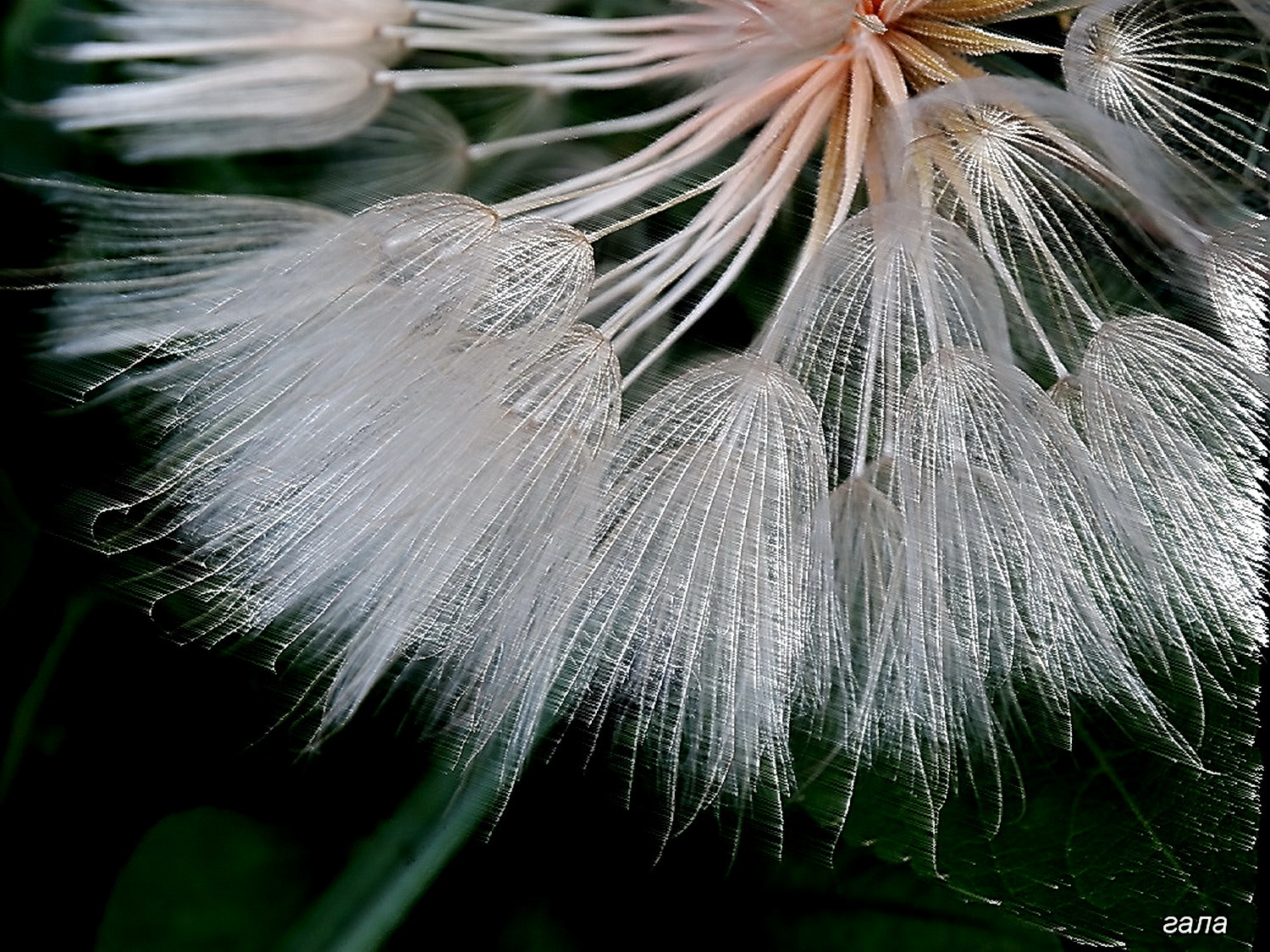 Minolta AF 80-200mm F2.8 HS-APO G sample photo. Fiction photography
