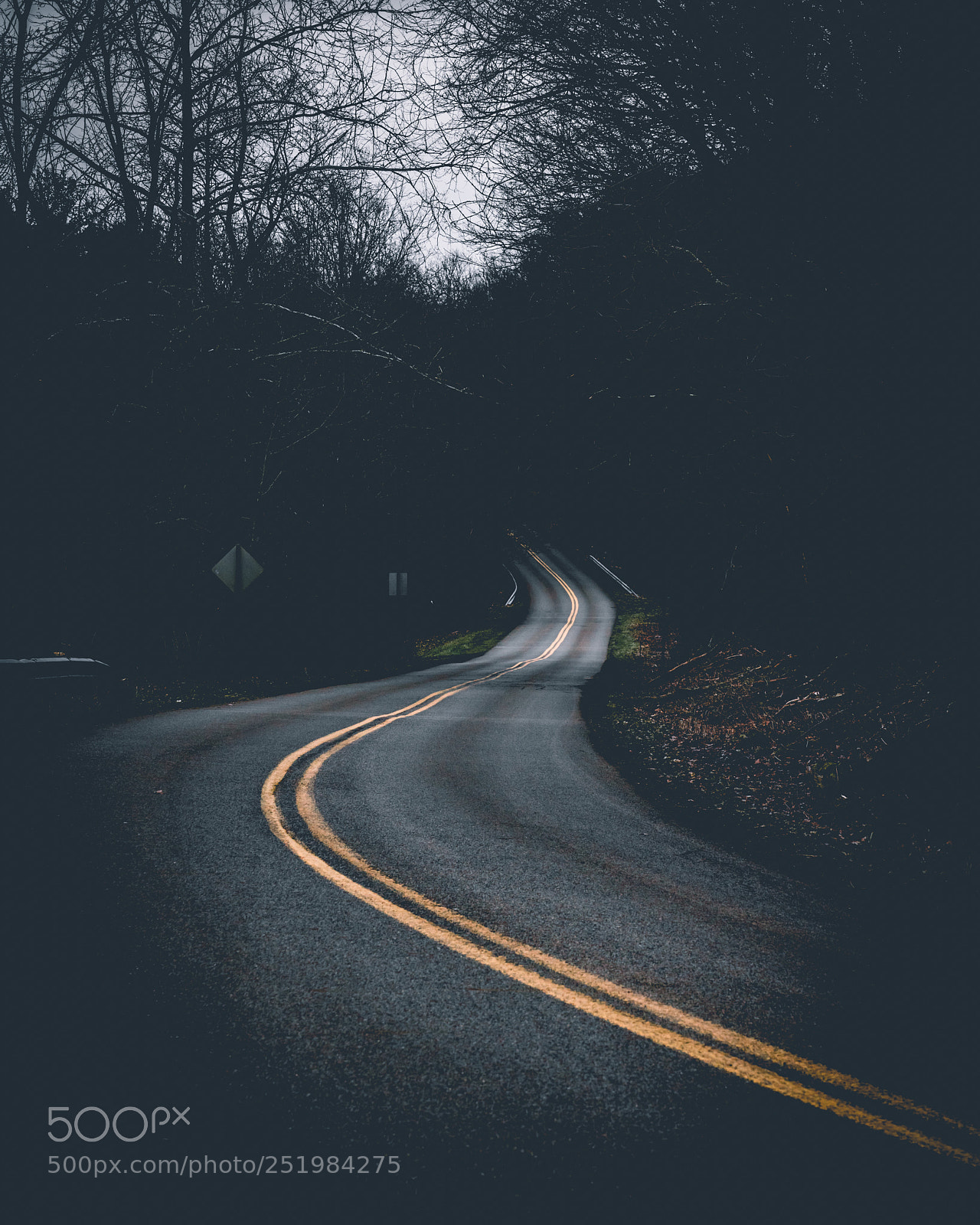 Sony a7R II sample photo. Every road tells a photography