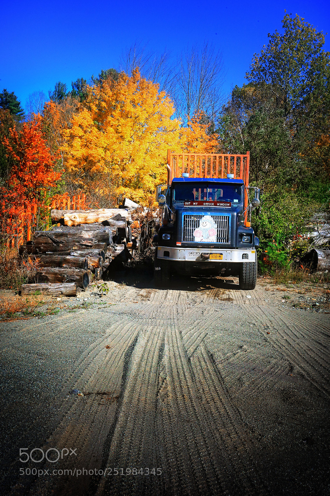 Canon EOS-1D X sample photo. Fall truckin photography