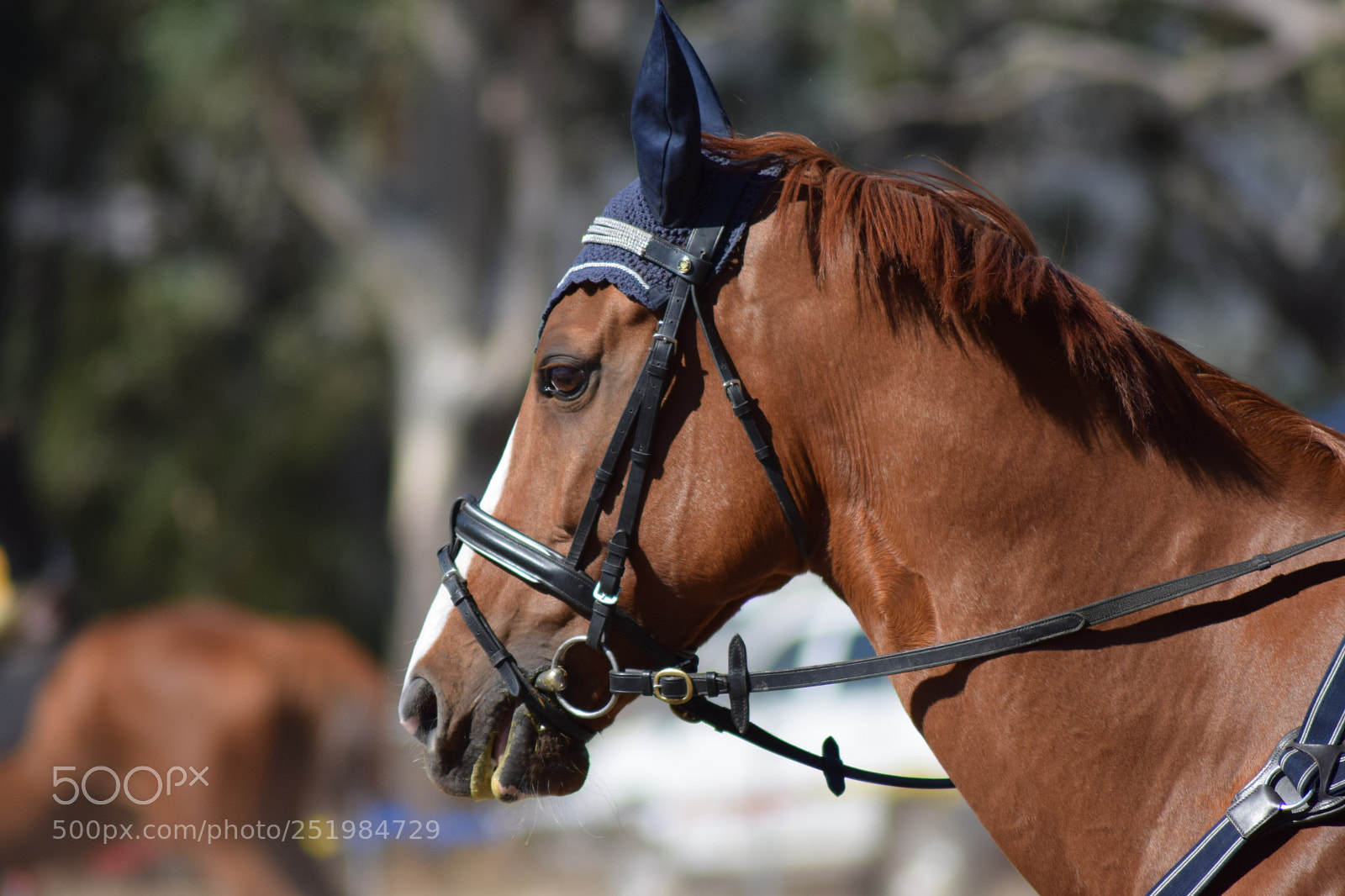 Nikon D3300 sample photo. Untitled photography