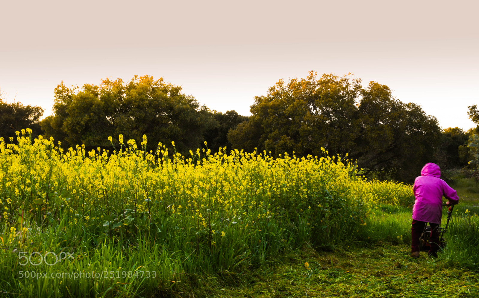Nikon D7500 sample photo. Colors photography